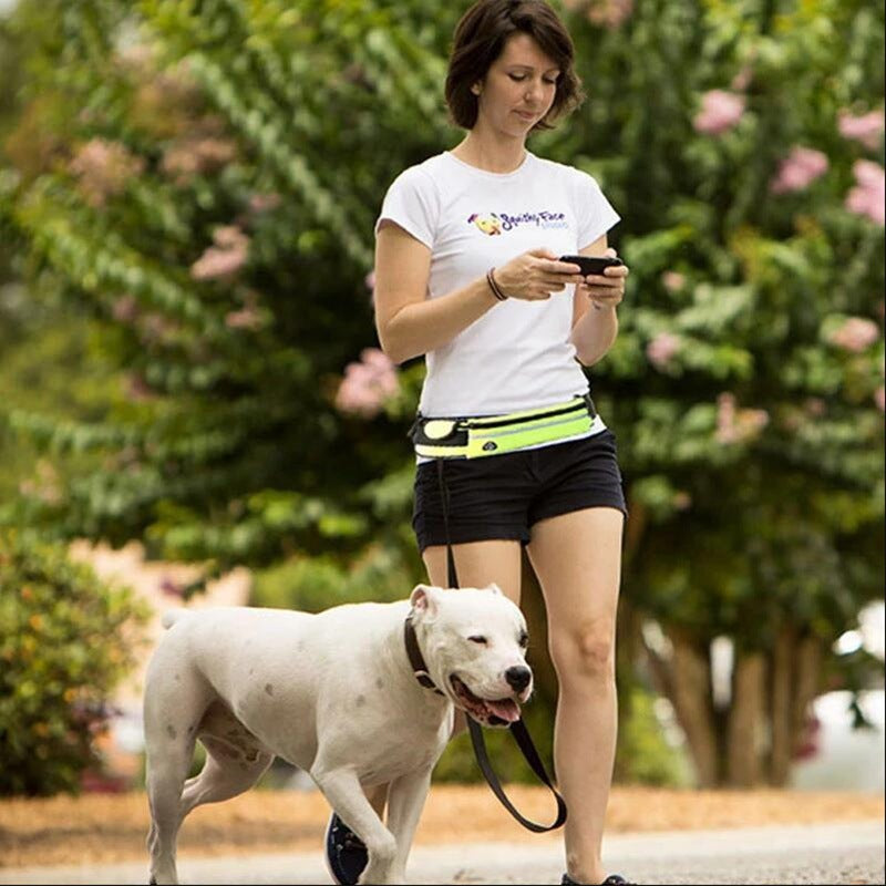 Hiking With Pets Collection