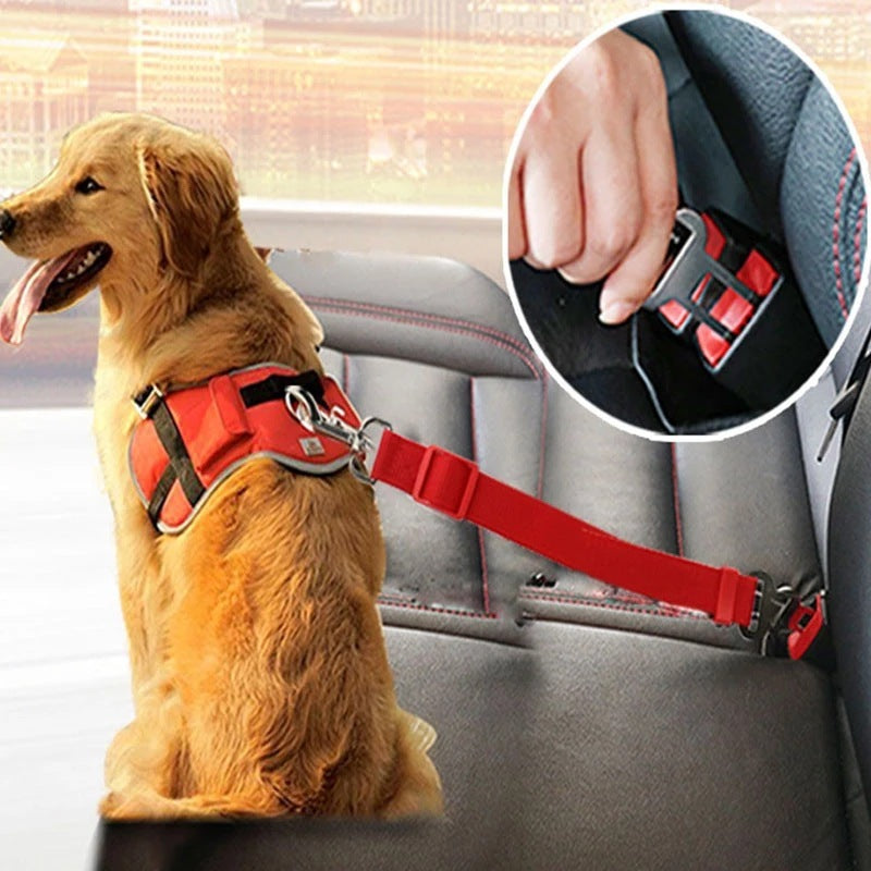 Travel-Safe Adjustable Dog/Cat Harness with Built-In Safety Latch