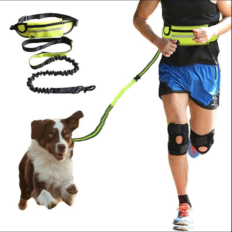 Ultimate Hands-Free Dog Leash & Training Belt – Secure, Comfortable, and Convenient