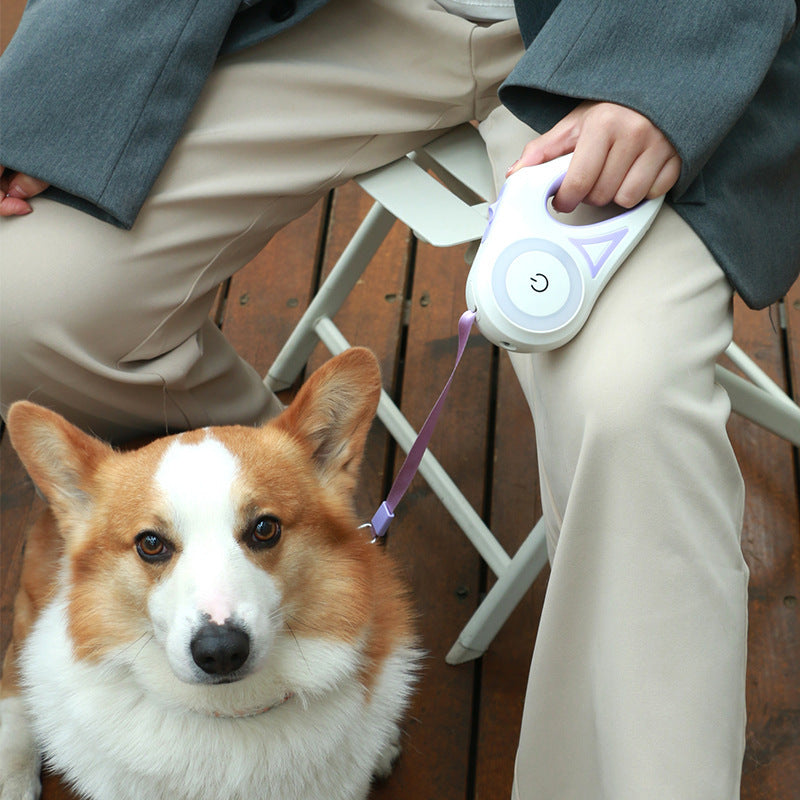 NightSafe™ LED Dog Leash – Built-In Spotlight for Ultimate Visibility